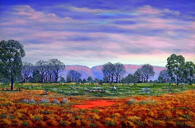 Floodplains The Ord River