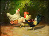 ROOSTERS AND HENS (2)