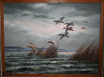 Waterfowl