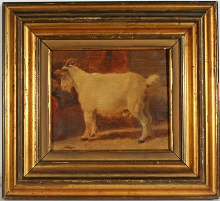 A goat in the stable
