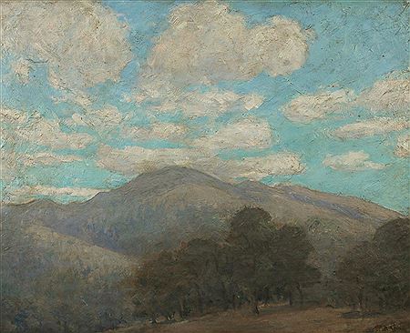 Hillside landscape