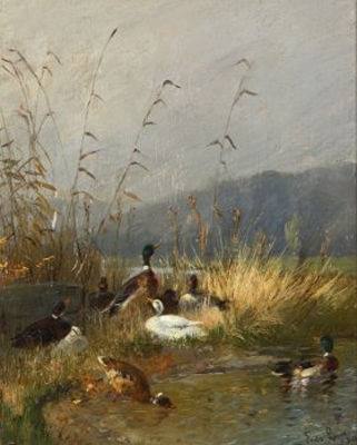 Enten am Seeufer by Fritz Lange - Auction record, sale price, and art valuation. Compare with similar artists and explore comparable artworks.