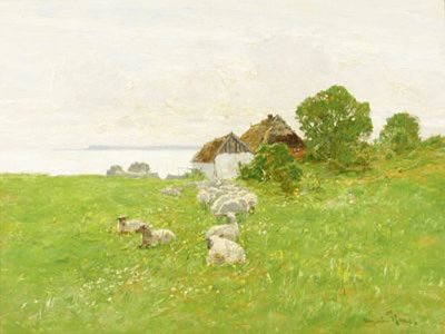Weidende sheep on Bodden