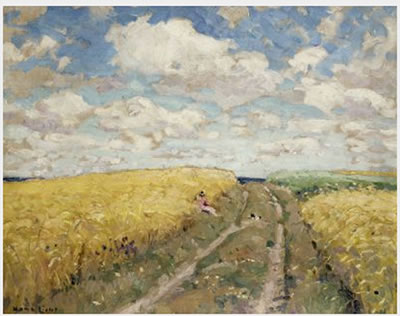 Sommer in den Feldern
