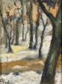 Winter in der Surheide