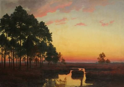 Abend in der Heide