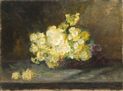 Schlüsselblumen
