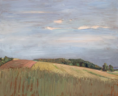 Felder am Weyerberg