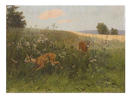 Flüchtende Rehe