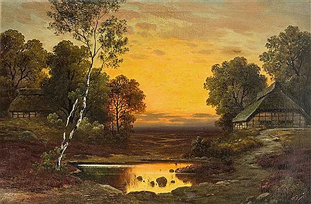 Abendlicht über dem Moor