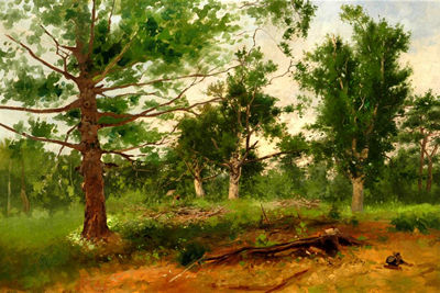Pine Grove