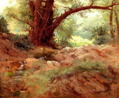 Woodland Hedge