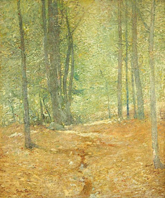 Beech Woods