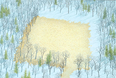 Toward Spring , 2002