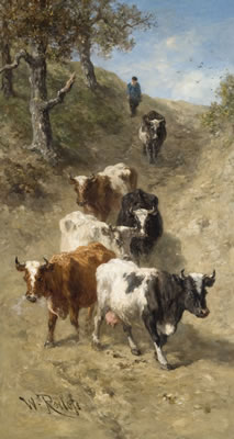 Troupeau de vaches dans les dunes