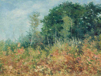 Woodlands, Probably Cape Elizabeth, 1905