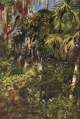 Florida Everglades, 1871