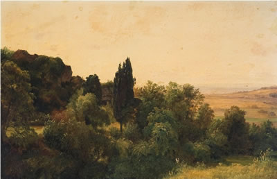 Woods and Distant Fields