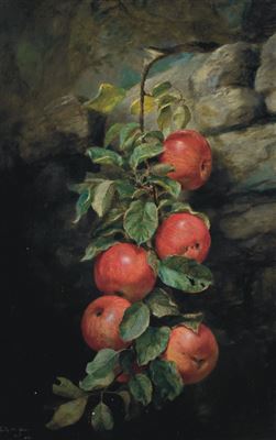 Apples
