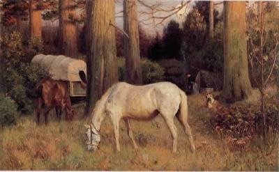 Western Camp