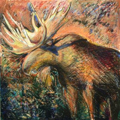 Moose Run #3