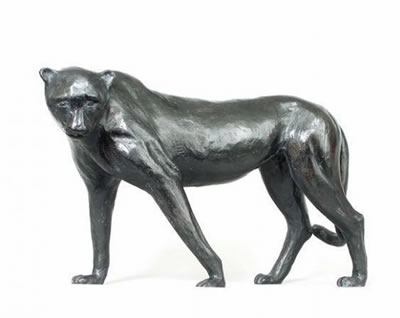 Guépard à l'affût