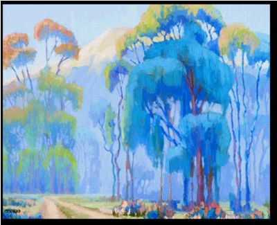 California Eucalyptus Trees