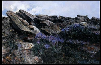 LAVENDER POINT