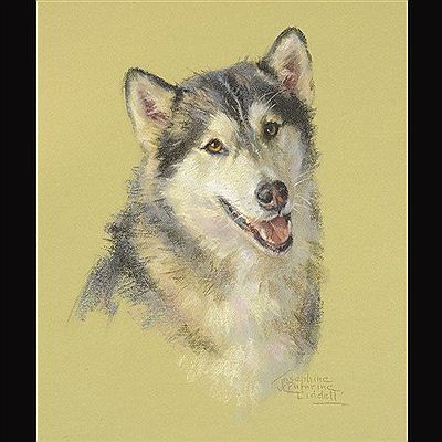 Alaskan Husky by Josephine Liddell - Auction record, sale price, and art valuation. Compare with similar artists and explore comparable artworks.