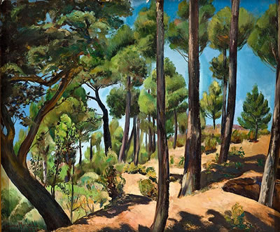 Paisaje