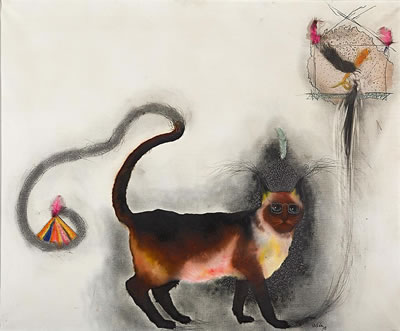 Gato