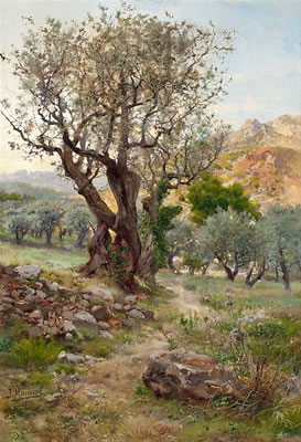 Olivos de Llavaneras