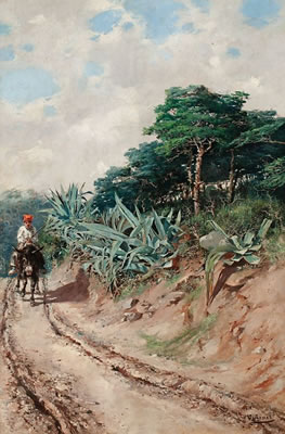 Rural view