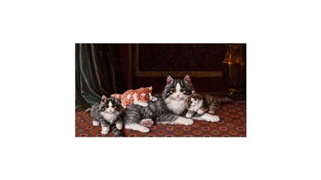 GATOS