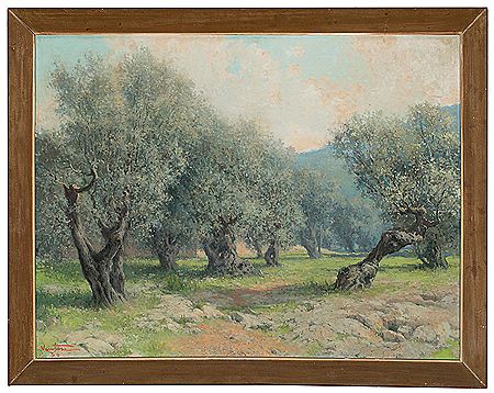 OLIVOS DEL LLANO, MALLORCA