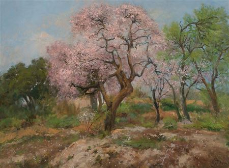 Almendros en flor