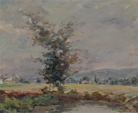 "Bassa" y Paisaje (2)