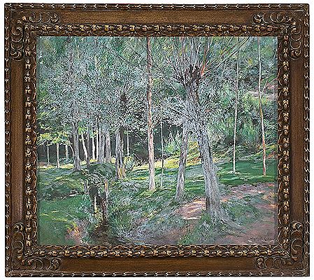 Bosque de Camprodón