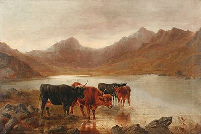 Cattle watering at a loch side