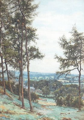 "Fir Trees, Richmond"