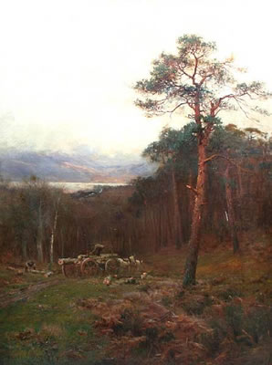 The Wood Cutter