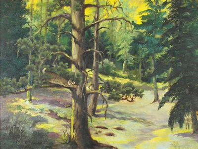 Bobcat in Treed Landscape