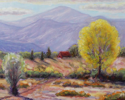 Pikes Peak Cotton