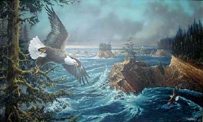 High Tide Cape Arago