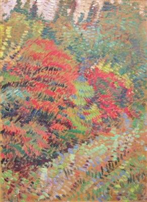 Jardin fleuri