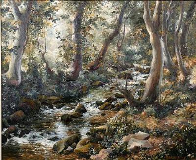 A wooded stream