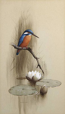 Kingfisher by Raymond C Watson - Auction record, sale price, and art valuation. Compare with similar artists and explore comparable artworks.