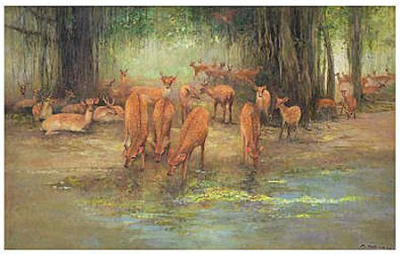 Deers