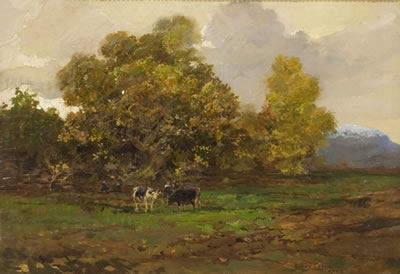 Pascolo in montagna