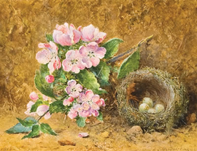 Apple Blossom and Nest by John Jessop Hardwick - Auction record, sale price, and art valuation. Compare with similar artists and explore comparable artworks.